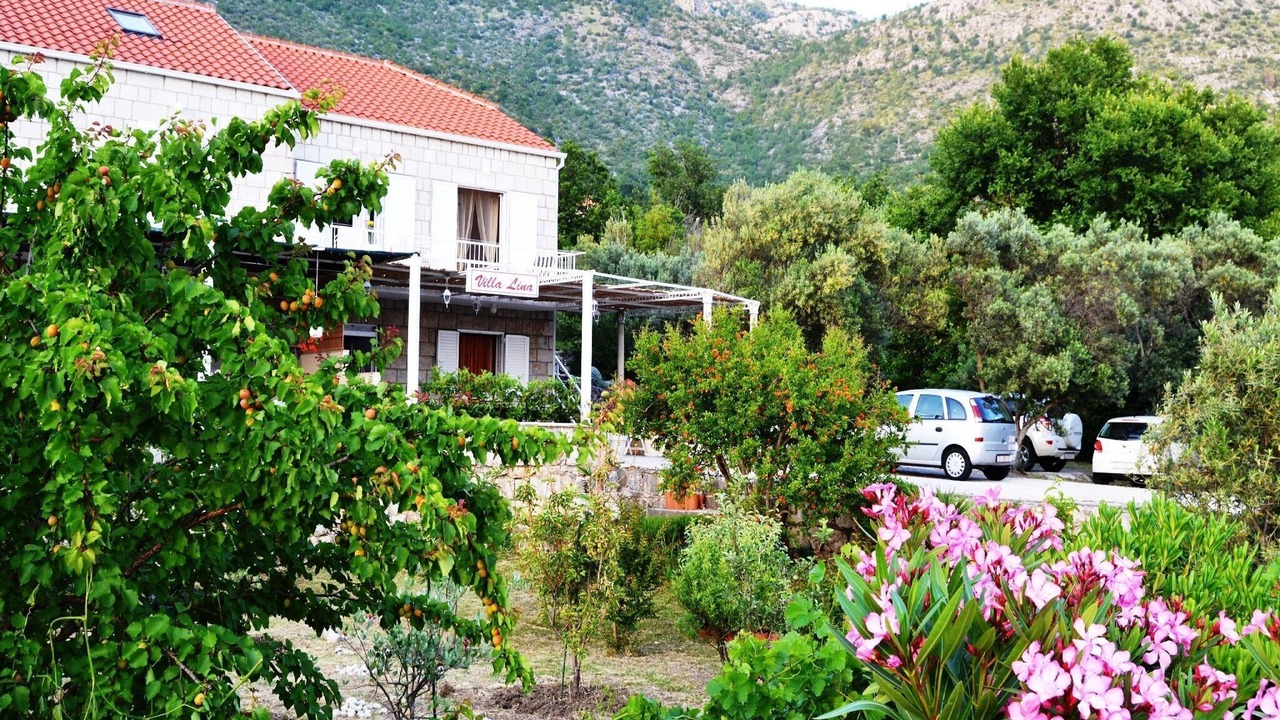 Photo of Outdoor in Brsecine