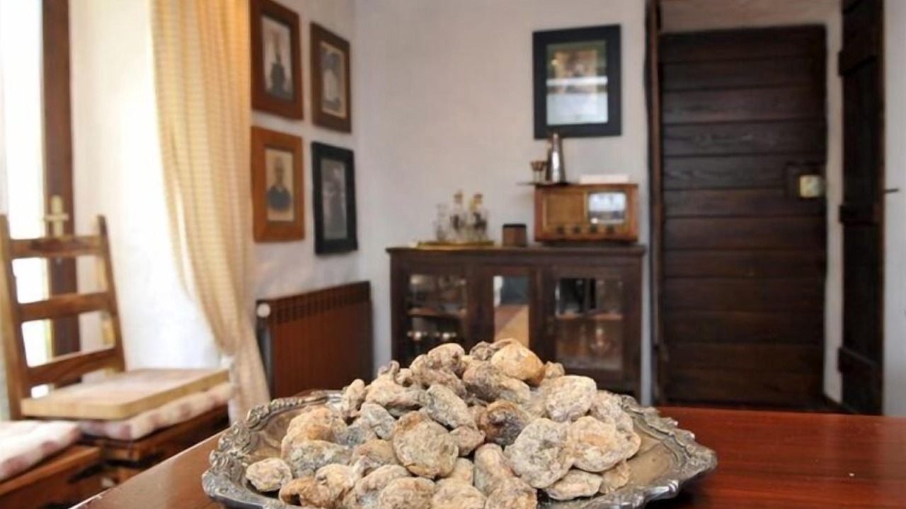 Photo of Livingroom in Konavle