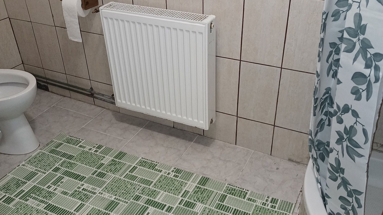 Photo of Bathroom in Erdut