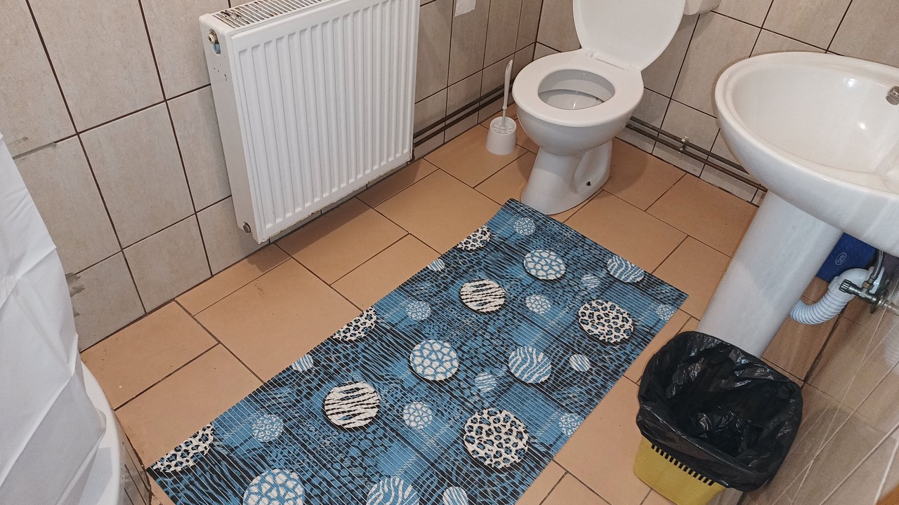 Photo of Bathroom in Erdut