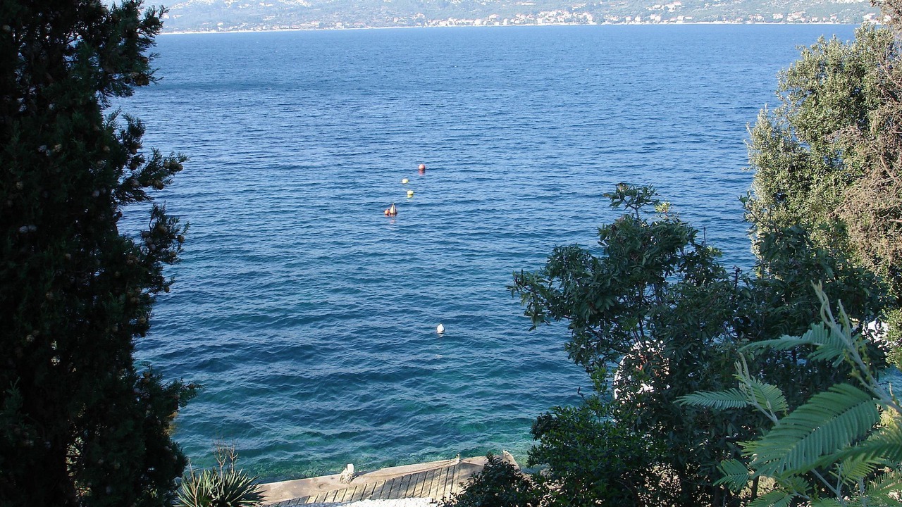 Photo of Others in Medvinjak
