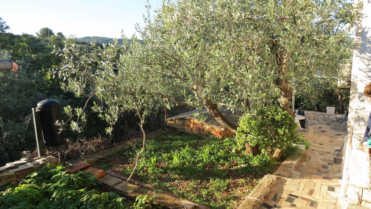 Photo of Outdoor in Necujam
