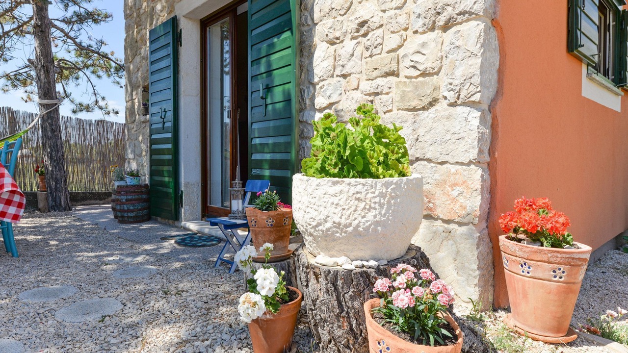 Photo of Outdoor in Vlasici