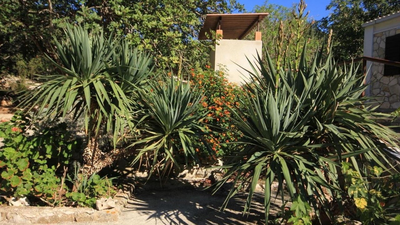 Photo of Outdoor in Cove Rogacic