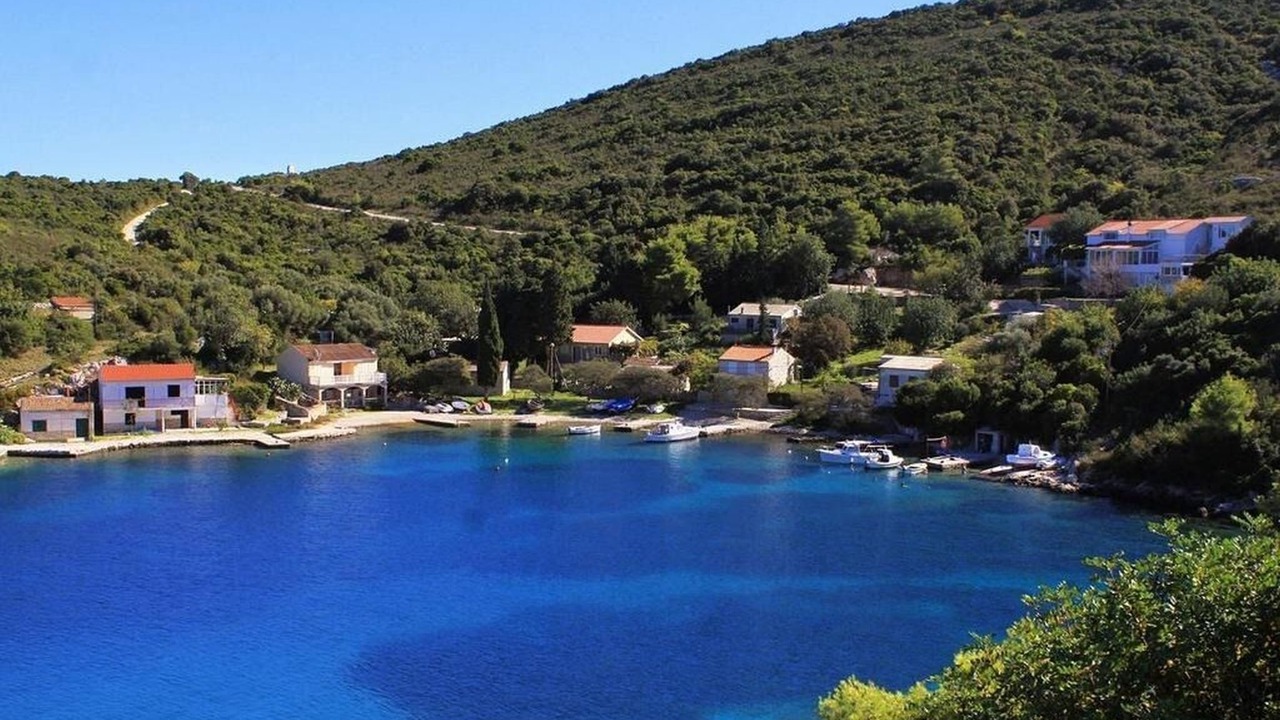 Photo of Others in Cove Rogacic
