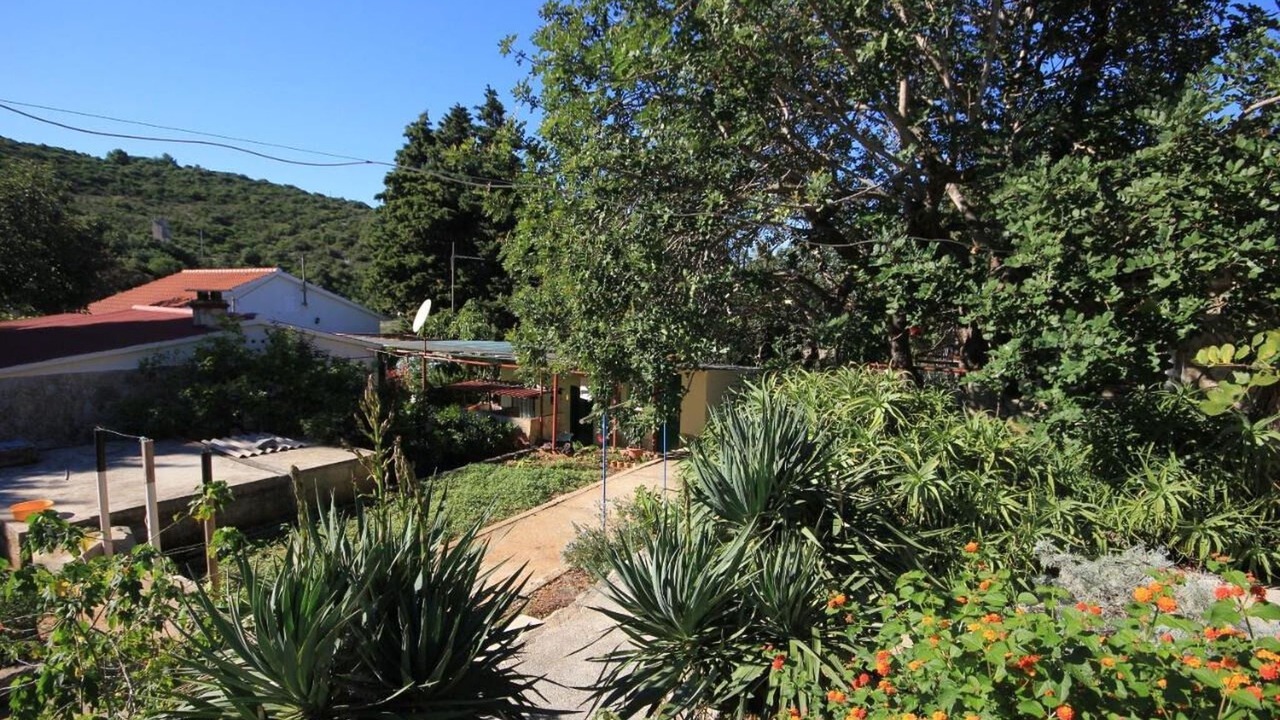 Photo of Outdoor in Cove Rogacic