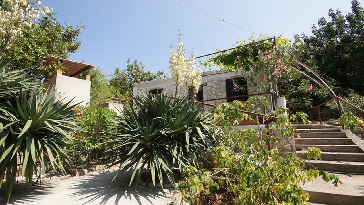 Photo of Outdoor in Cove Rogacic