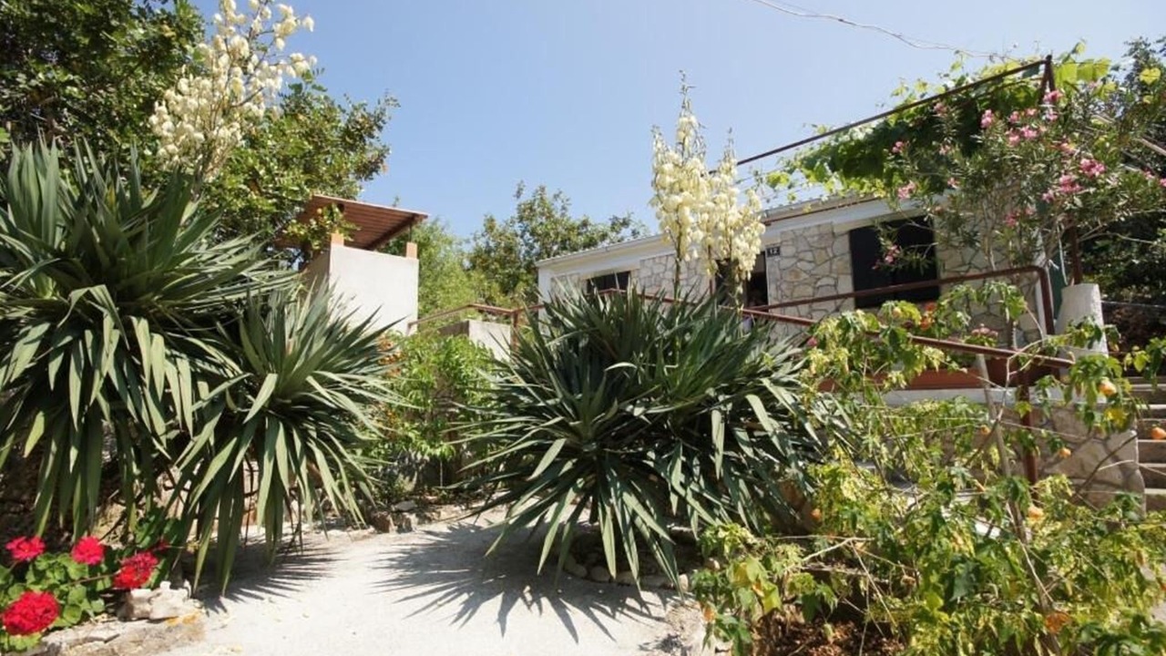 Photo of Outdoor in Cove Rogacic