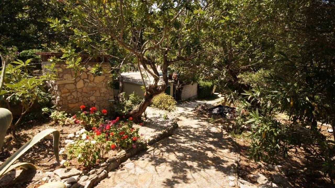Photo of Outdoor in Cove Rogacic