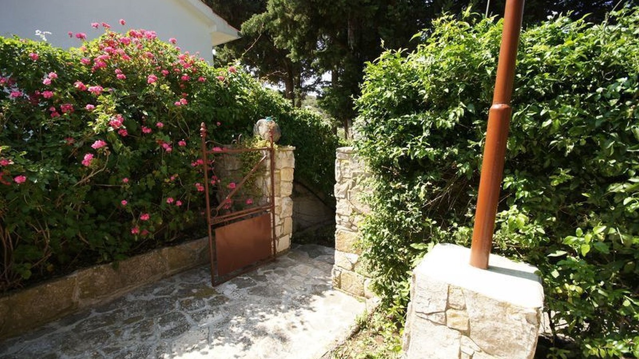 Photo of Outdoor in Cove Rogacic