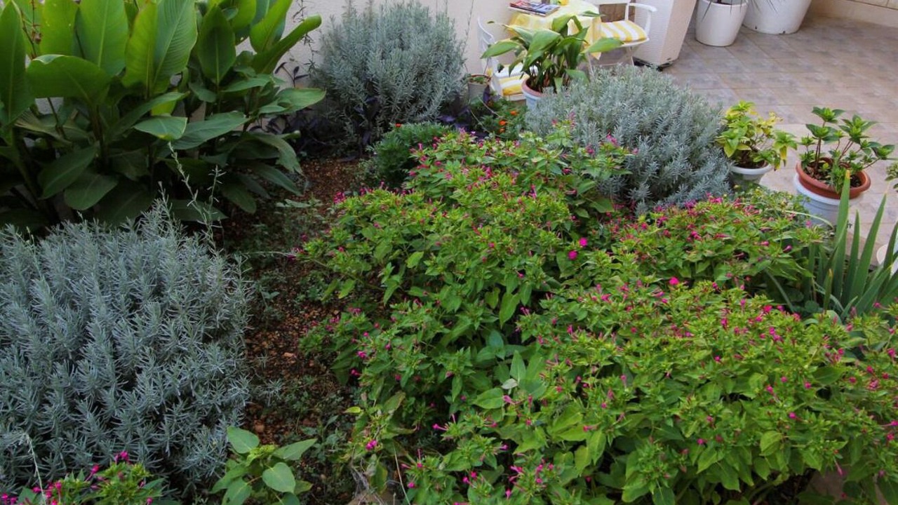 Photo of Outdoor in Bidol