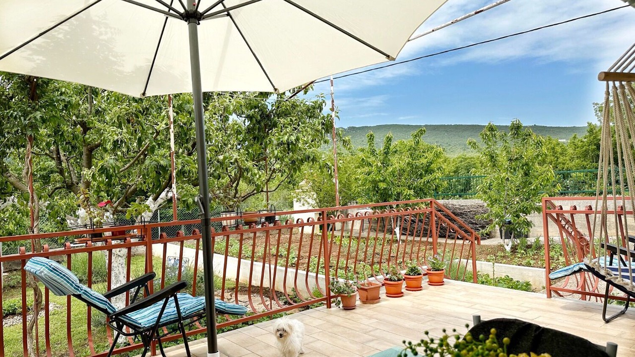 Photo of Patio Balcony in Srijane