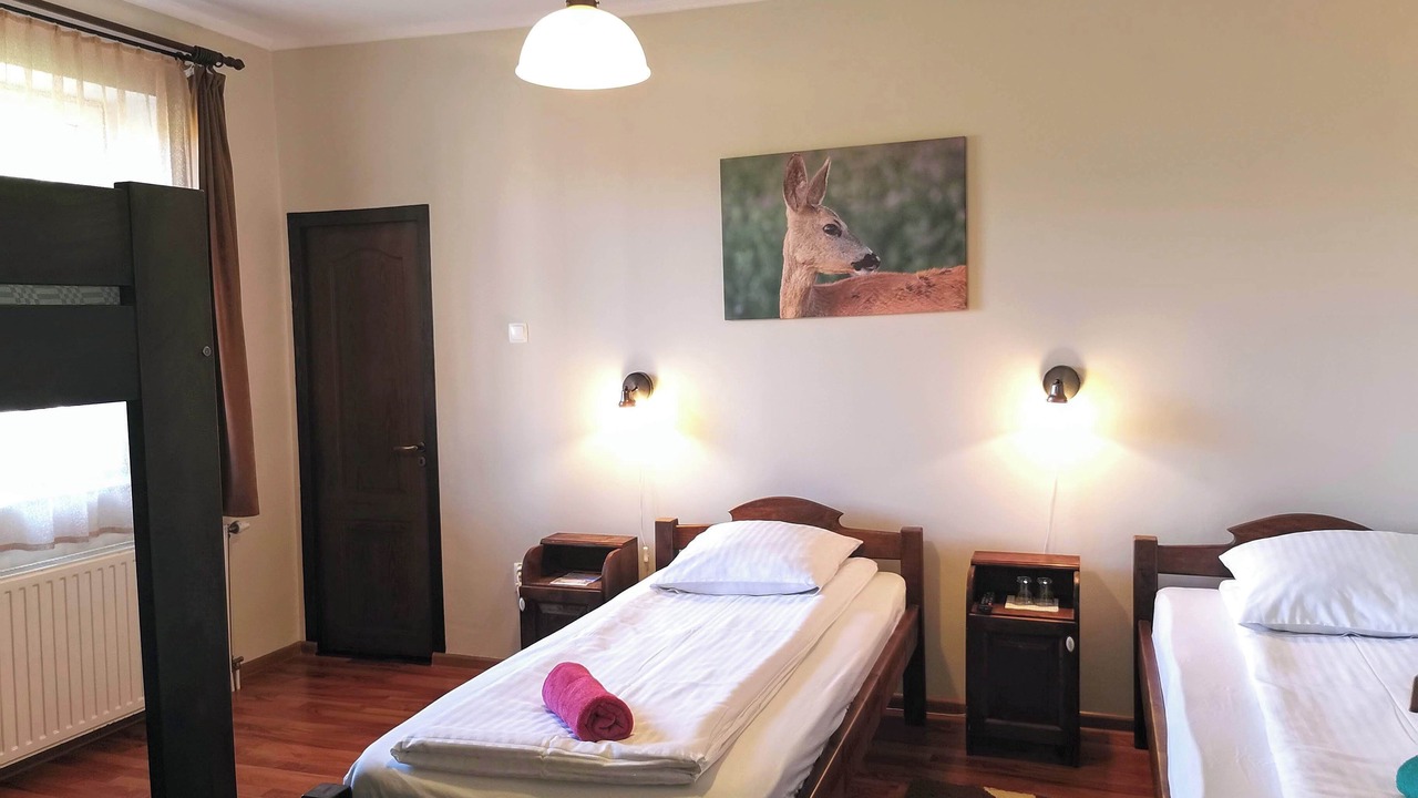 Photo of Bedroom in Bradesti