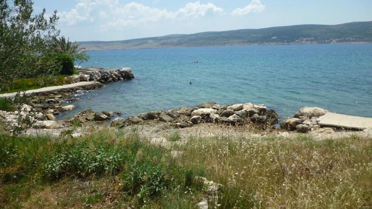 Photo of Others in Seline