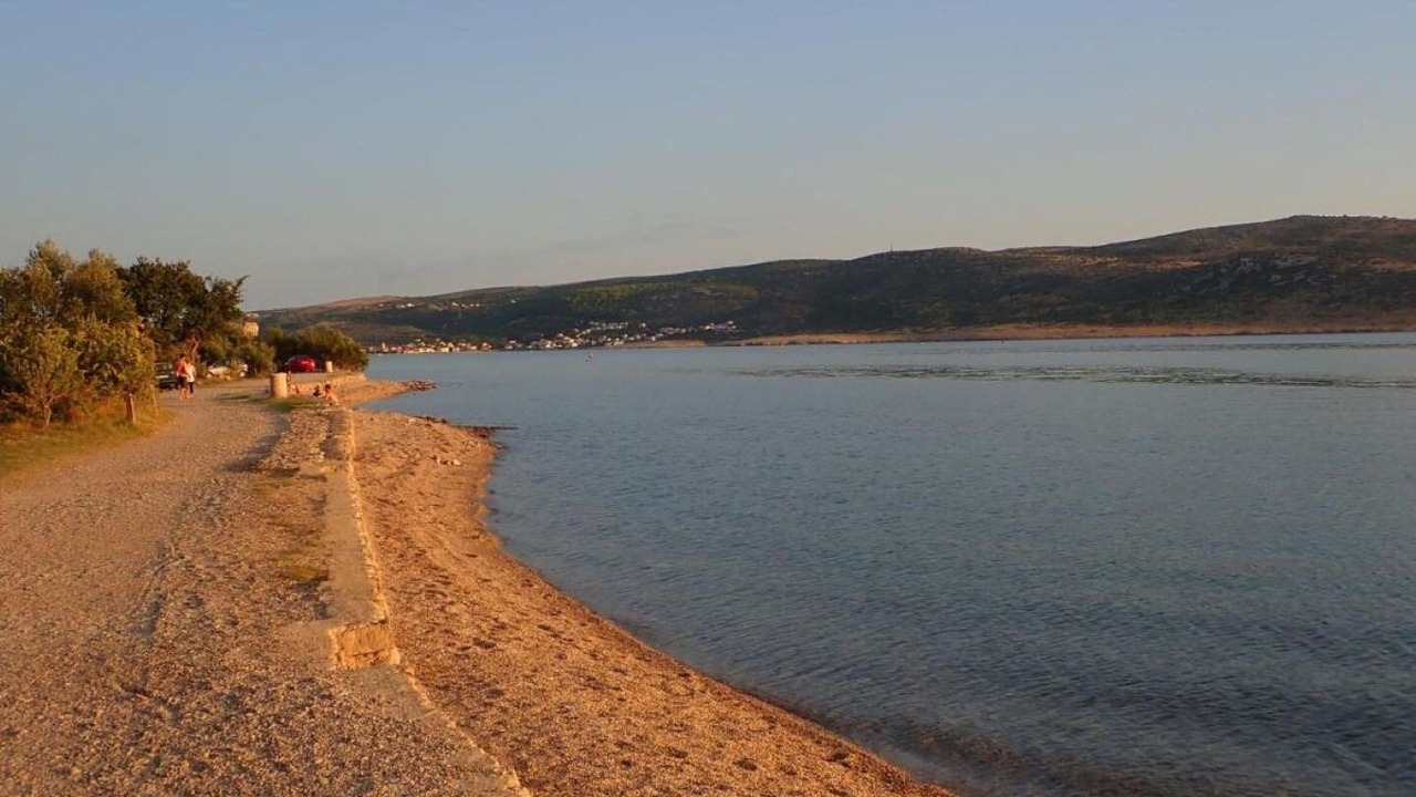 Photo of Others in Seline