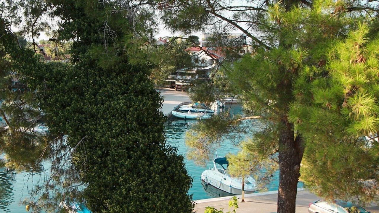 Photo of Others in Porat