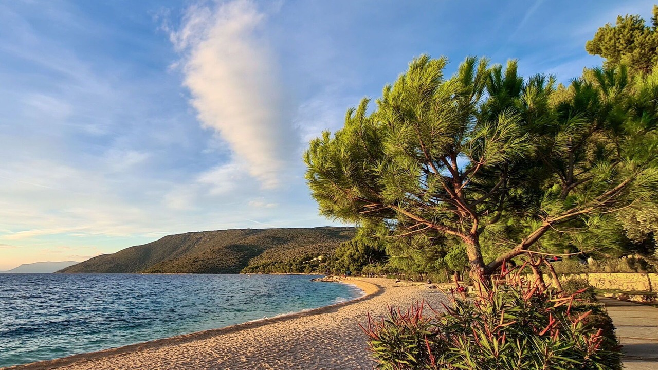 Photo of Others in Cres