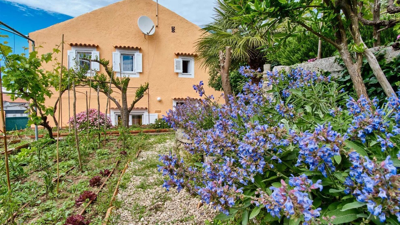 Photo of Outdoor in Cove Murtar