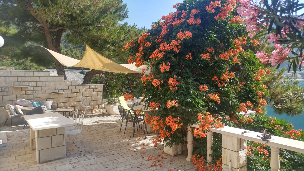 Photo of Outdoor in Klek