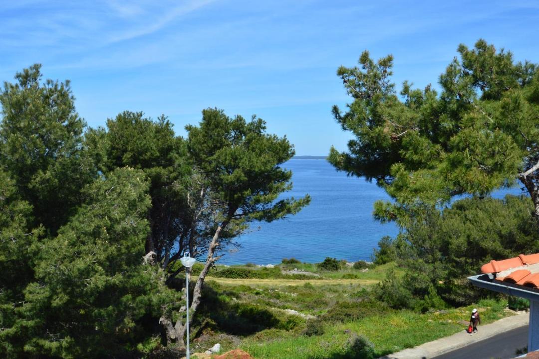 Photo of Others in Cove Murtar
