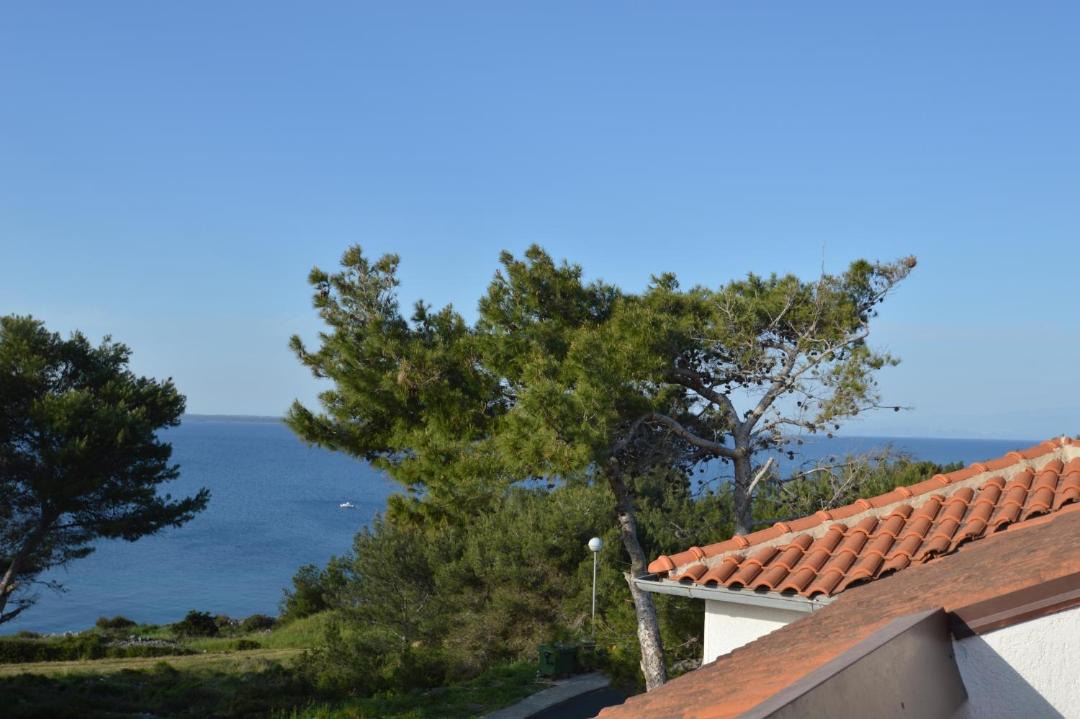 Photo of Others in Cove Murtar