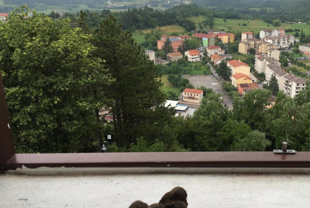 Photo of Others in Buzet