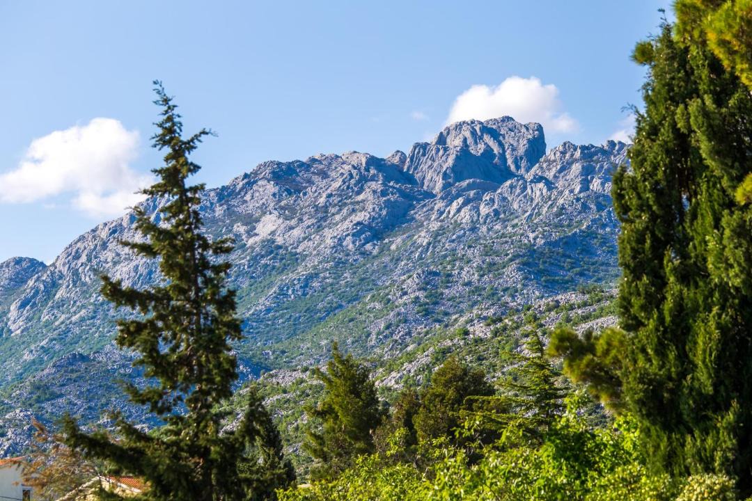 Photo of Others in Starigrad