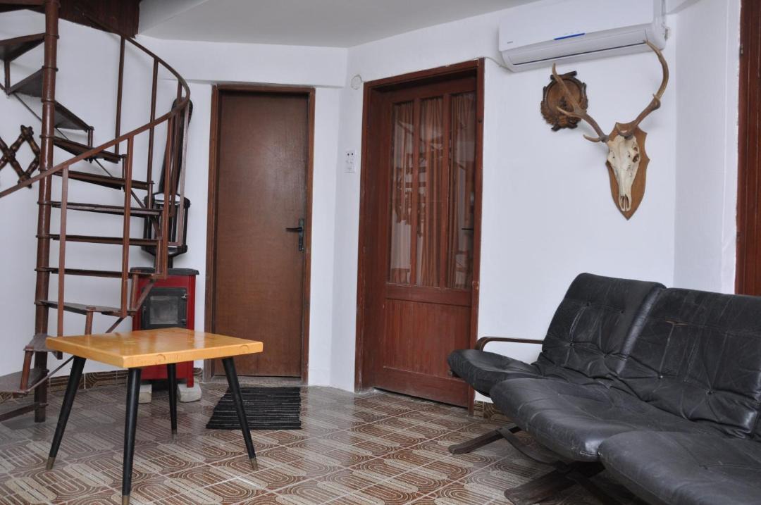 Photo of Livingroom in Svajcarnica