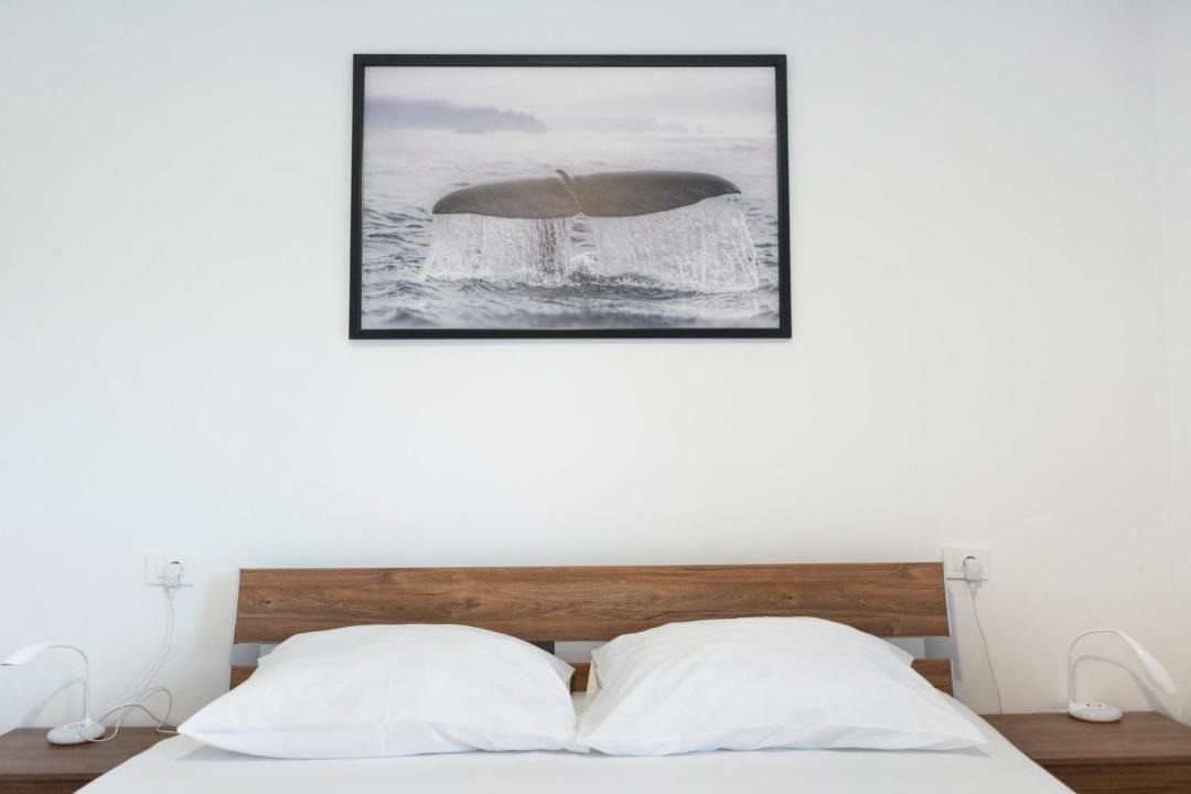 Photo of Others in Izola