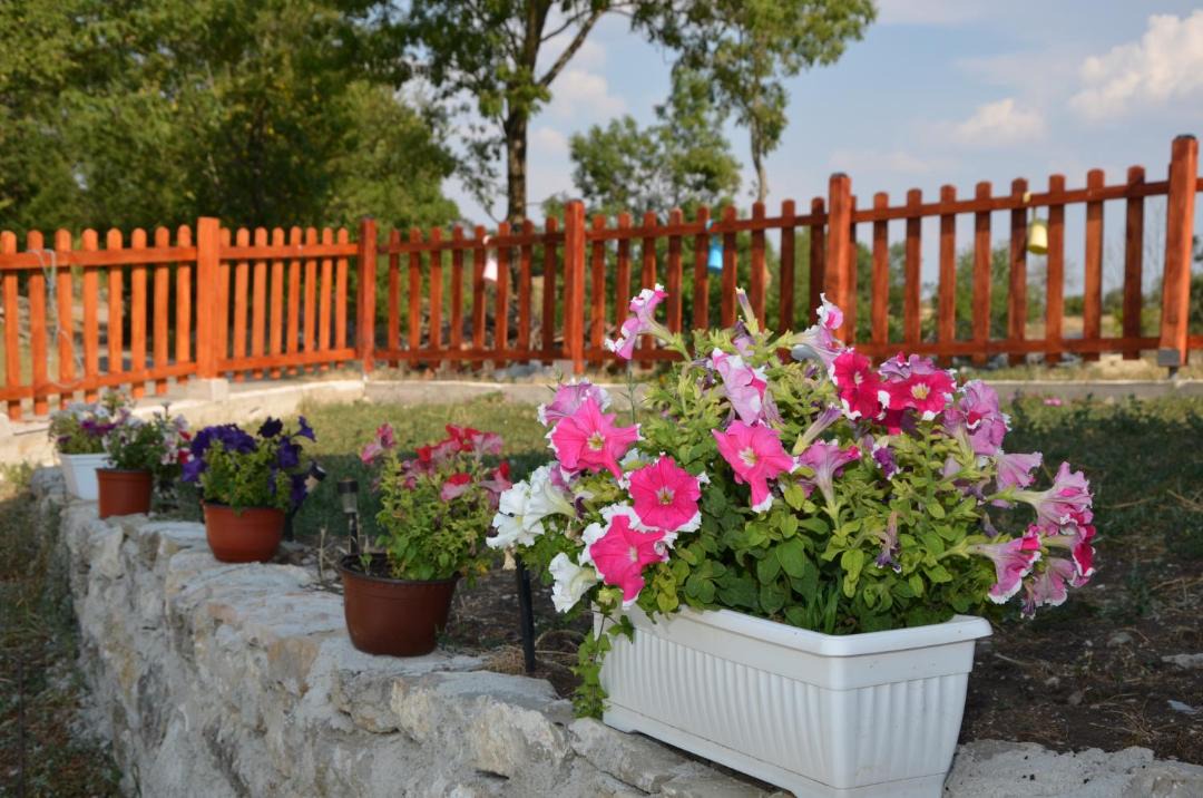 Photo of Others in Republika Srpska