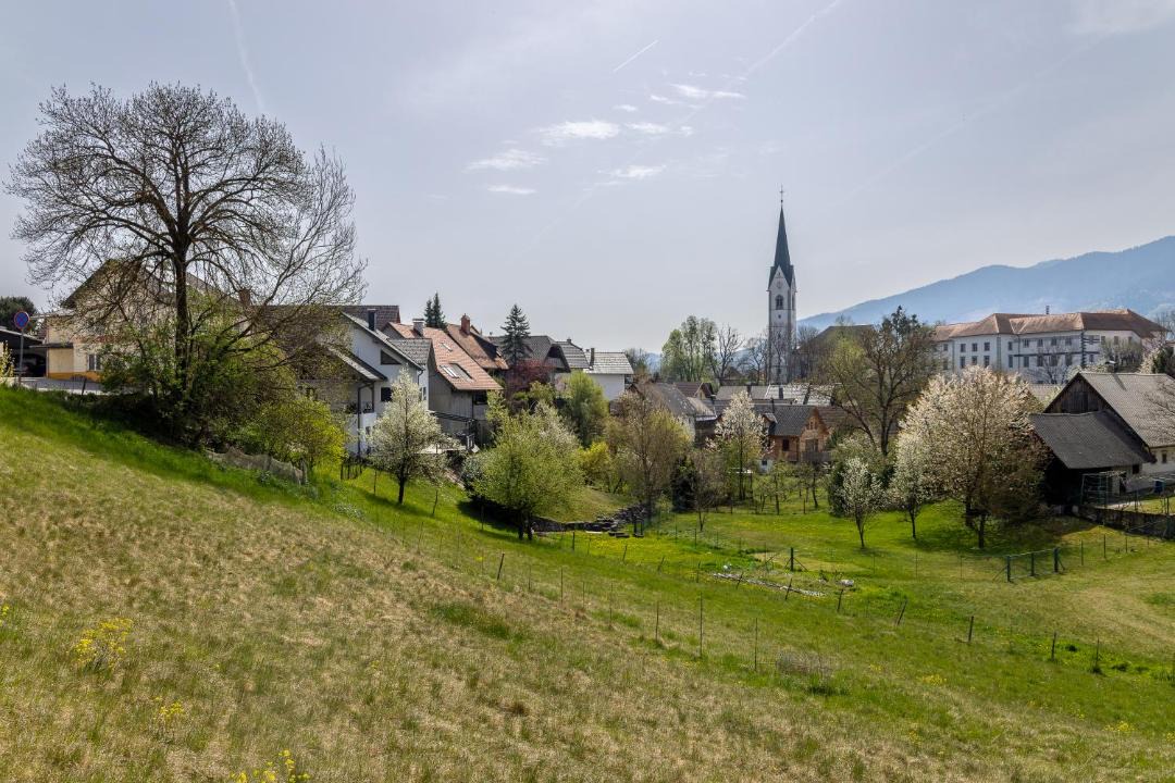 Photo of Others in Radovljica
