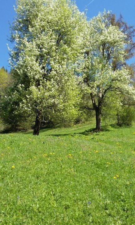 Photo of Others in Idrija
