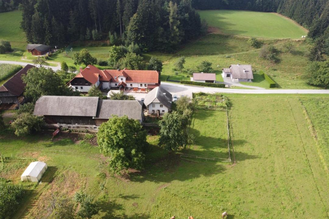 Photo of Others in Slovenj Gradec