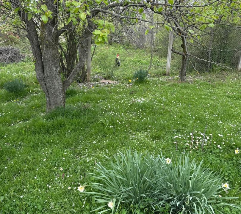 Photo of Outdoor in Mladenovac