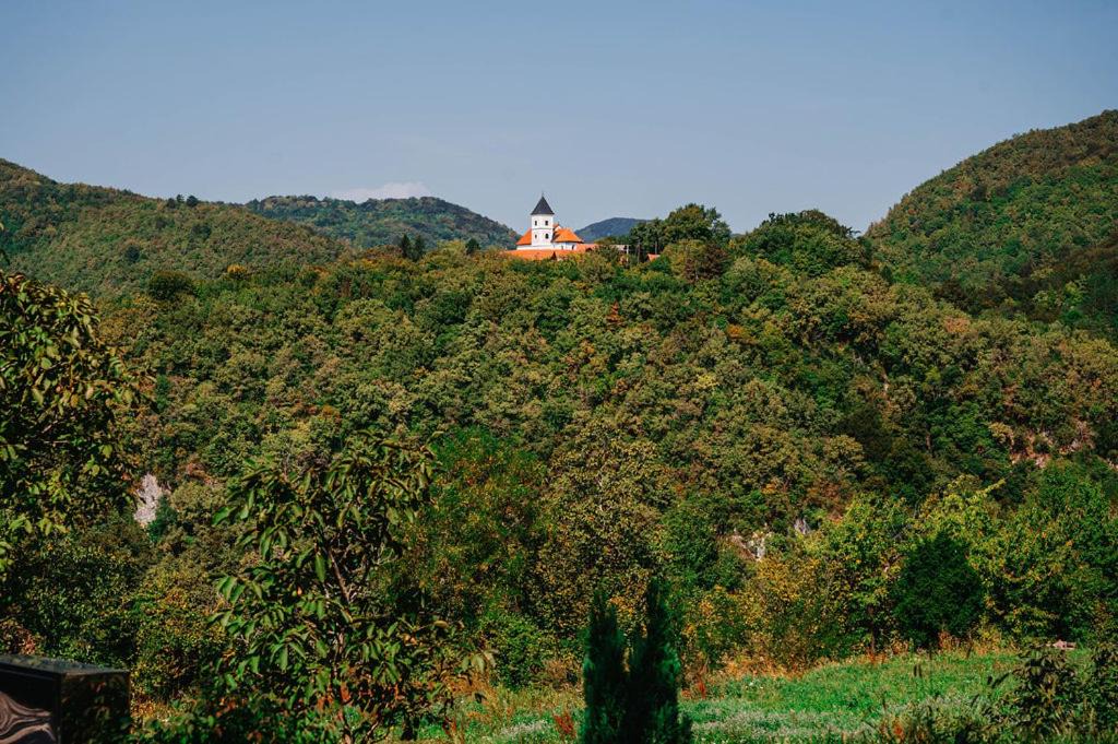 Photo of Others in Zlatar