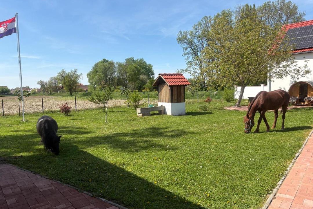 Photo of Others in Cađavica