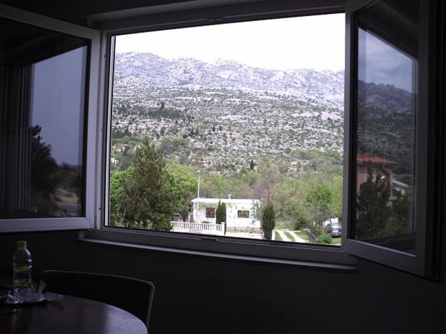 Photo of Others in Seline