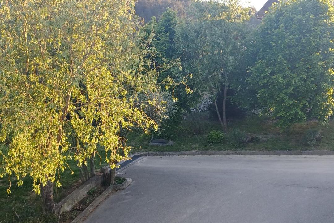 Photo of Others in Buzet