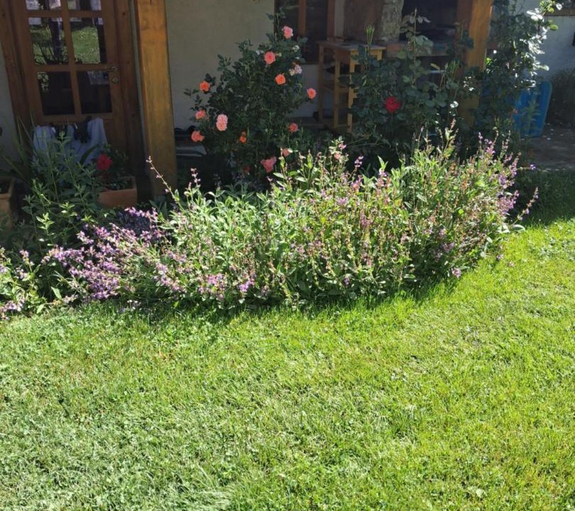 Photo of Others in Municipality of Plaski