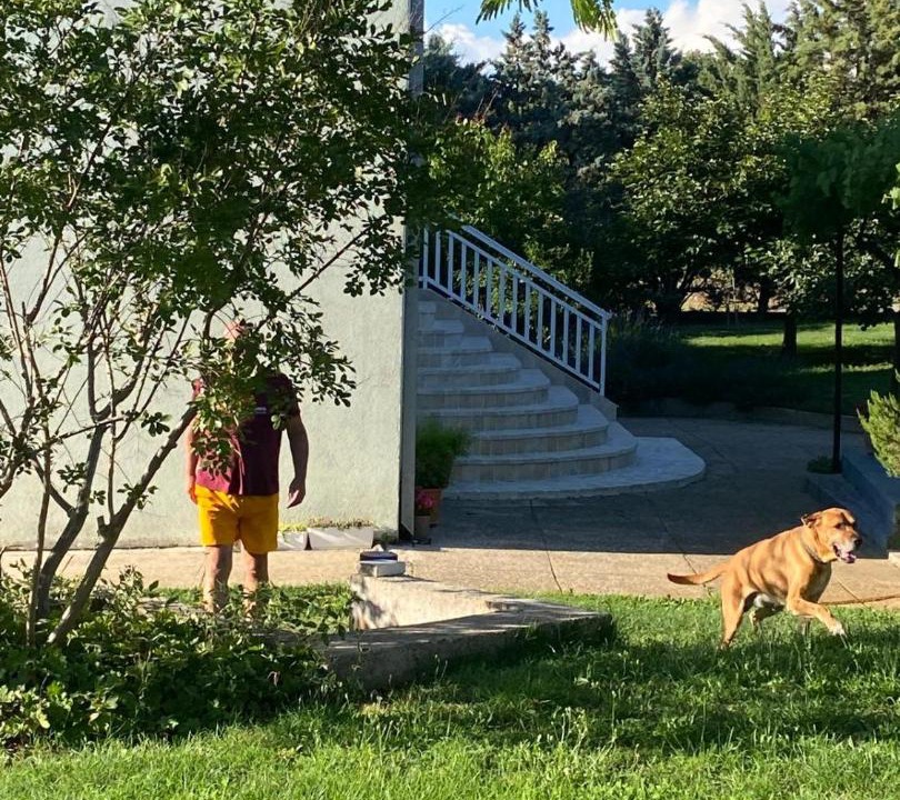 Photo of Others in Medjugorje