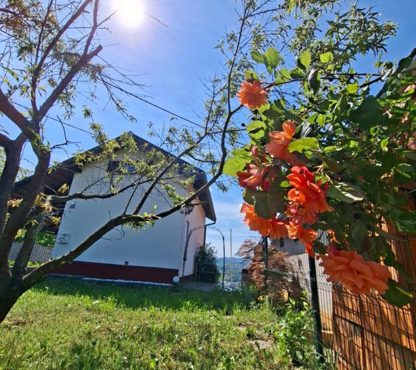 Photo of Others in Varazdinske Toplice