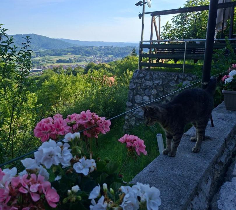 Photo of Others in Varazdinske Toplice