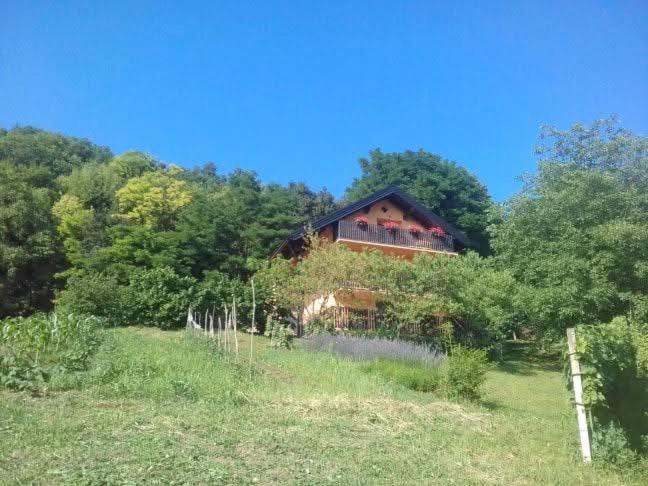 Photo of Others in Radoboj