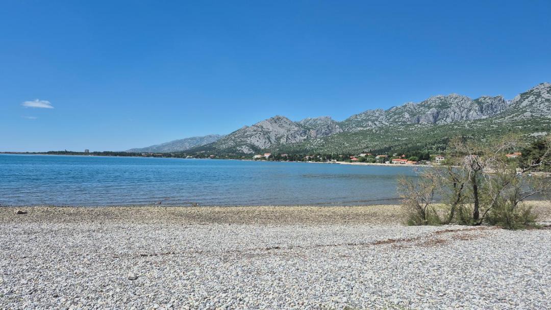 Photo of Others in Seline