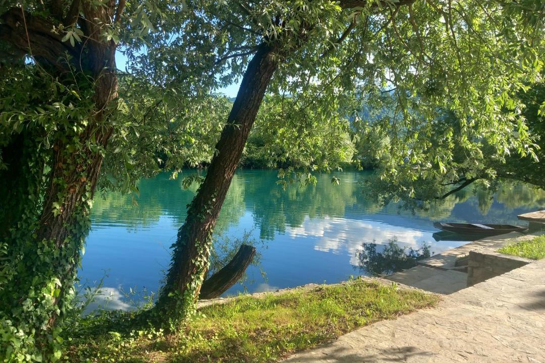 Photo of Others in Bihac