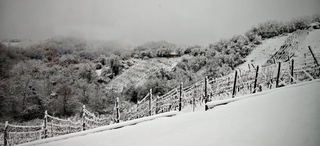 Photo of Others in Vinica