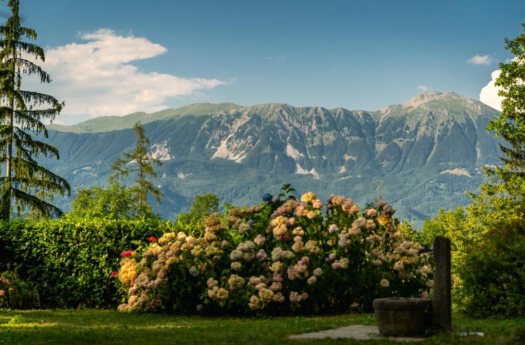 Photo of Others in Bled