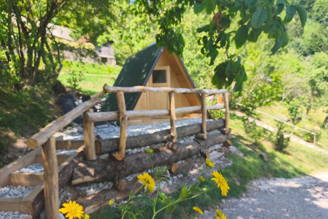 Photo of Others in Kranj