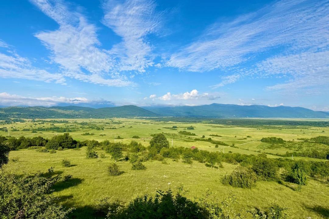 Photo of Others in Grabovac