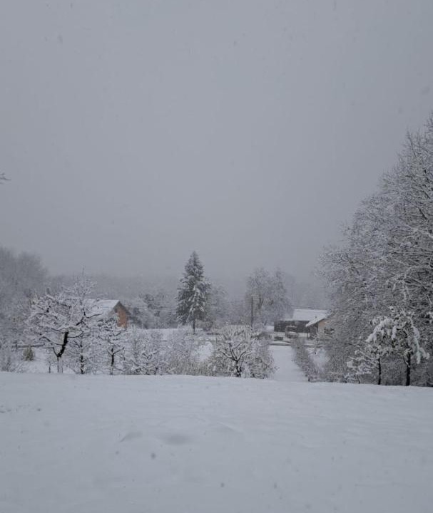 Photo of Others in Topusko
